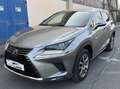 Lexus NX 300 300h 2.5 Business 2wd cvt Šedá - thumbnail 10