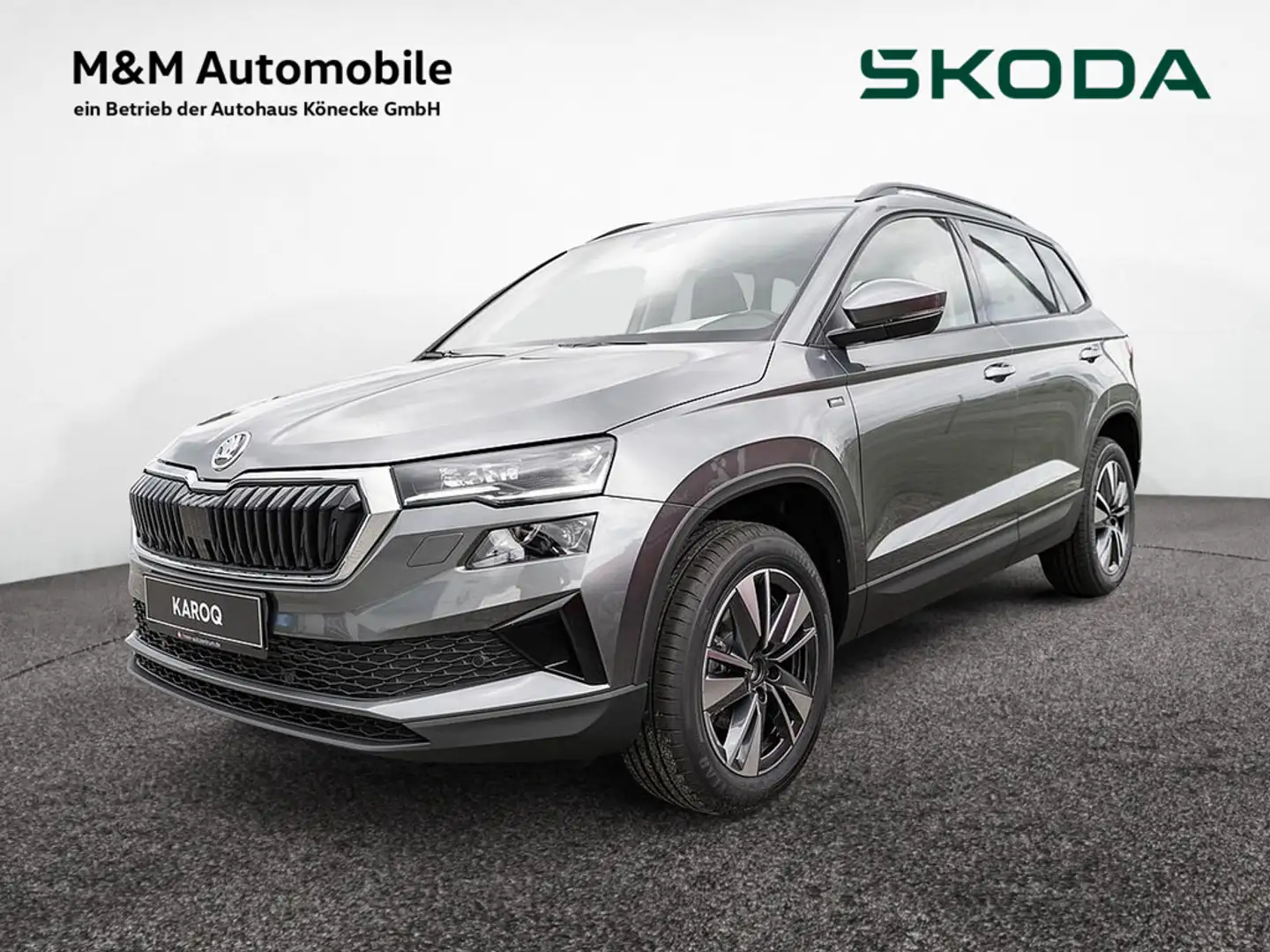 Skoda Karoq 1.0 TSI Drive PDC KAMERA NAVI W-LAN LED Grau - 1