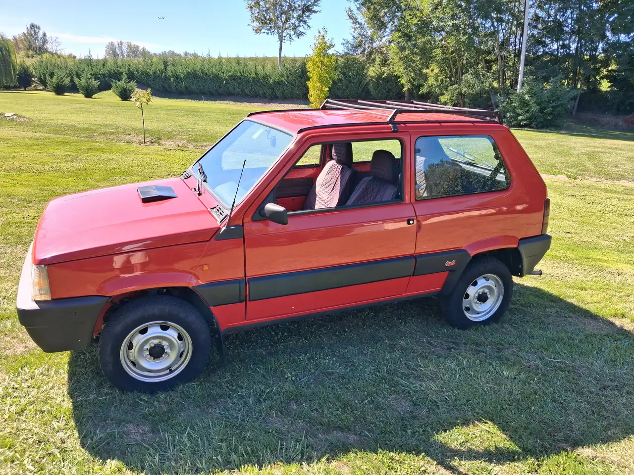 Fiat Panda 1.0 4x4 my86, foto 3