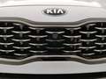 Kia Sportage 1.6 crdi GT Line 2wd 136cv dct7 White - thumbnail 50
