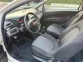 Fiat Punto Evo 1.4 3 porte Emotion EasyPower Blanc - thumbnail 9