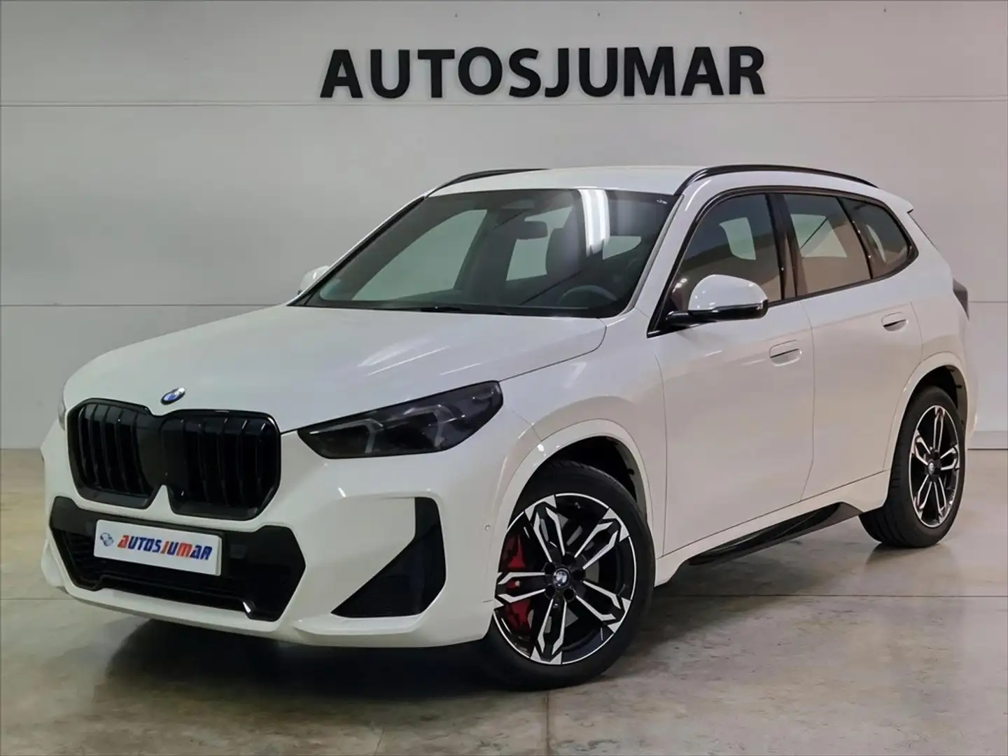 BMW X1 xDrive20d Blanco - 1