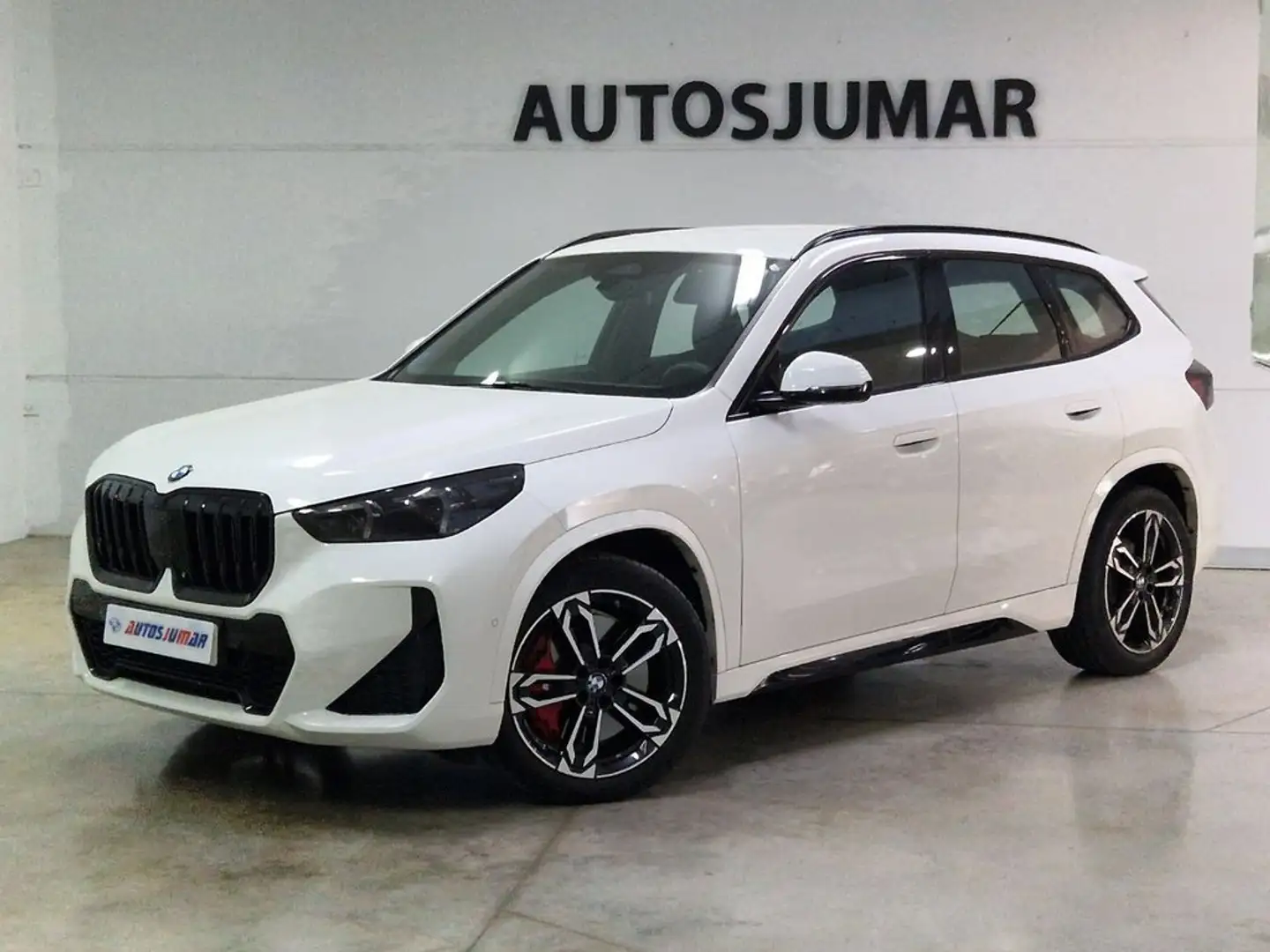 BMW X1 xDrive20d Blanco - 2