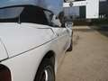 Lotus Sonstige ELAN M100 Turbo Weiß - thumbnail 7
