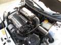Lotus Sonstige ELAN M100 Turbo Weiß - thumbnail 18