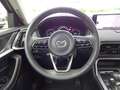 Mazda CX-60 D200 Homura 2WD ACC HUD Navi 360° DAB Noir - thumbnail 14