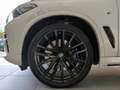 BMW X5 xDrive40d M Sportpaket Panorama/PDC/HiFi Panorama/ Blanco - thumbnail 3