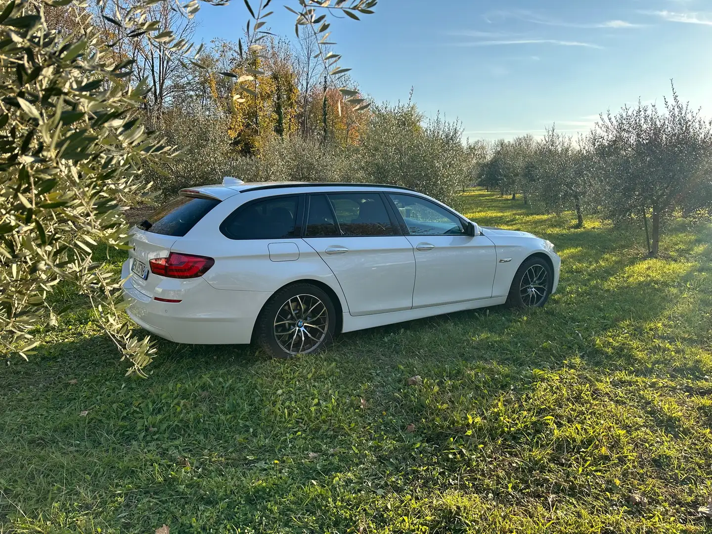BMW 520 520d Touring Futura Bianco - 2