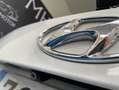 Hyundai SANTA FE 2.2CRDi 4x4 Tecno 7s Blanco - thumbnail 20