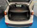 Hyundai SANTA FE 2.2CRDi 4x4 Tecno 7s Blanco - thumbnail 21