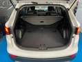 Hyundai SANTA FE 2.2CRDi 4x4 Tecno 7s Blanco - thumbnail 12