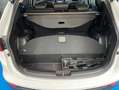 Hyundai SANTA FE 2.2CRDi 4x4 Tecno 7s Blanco - thumbnail 22