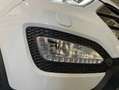 Hyundai SANTA FE 2.2CRDi 4x4 Tecno 7s Blanco - thumbnail 14