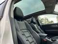 Nissan Qashqai Akari Aut.Leder+Panorama Weiß - thumbnail 13
