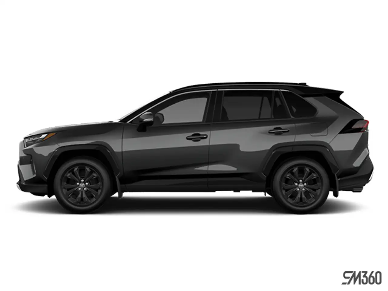 2023 Toyota RAV 4