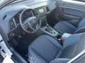 SEAT Ateca 2.0 tdi Style 4drive Bianco - thumbnail 11