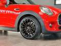 MINI Cooper Cabrio Salt John Cooper Works 1,5Ltr.*JCW Rouge - thumbnail 5
