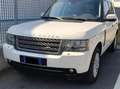 Land Rover Range Rover Sport Range Rover Sport 3.6 tdV8 HSE auto Bianco - thumbnail 3