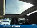 Ford Fiesta Vignale KLIMAUTOMATIK|EASY-DRIVER-PAKET 2|PANORAMA Grau - thumbnail 10