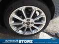 Ford Fiesta Vignale KLIMAUTOMATIK|EASY-DRIVER-PAKET 2|PANORAMA Grau - thumbnail 24