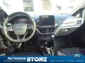 Ford Fiesta Vignale KLIMAUTOMATIK|EASY-DRIVER-PAKET 2|PANORAMA Grau - thumbnail 11