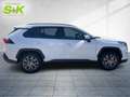 Toyota RAV 4 2.5 VVT-i Hybrid Team Deutschland*8-fach*SHZ Weiß - thumbnail 5