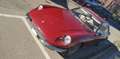 Ferrari 365 GT 2+2 Rood - thumbnail 10
