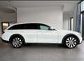Mercedes-Benz E 220 E 220 d T All-Terrain 4MATIC Aut. All-Terrain Weiß - thumbnail 1