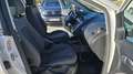SEAT Altea XL 1.6TDI CR S&S I-Tech E-ecomotive Blanco - thumbnail 11