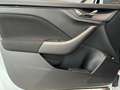 Skoda Kamiq Selection Navi Einparkhilfe Fenster el. Wit - thumbnail 14