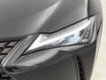 Lexus UX 250h Business Line Schwarz - thumbnail 42