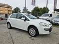 Fiat Punto Evo 1.4 5 porte Active Natural Power Bianco - thumbnail 3