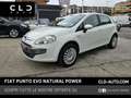 Fiat Punto Evo 1.4 5 porte Active Natural Power Bianco - thumbnail 1