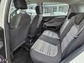 Fiat Punto Evo 1.4 5 porte Active Natural Power Bianco - thumbnail 9