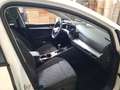 Volkswagen Golf VIII Variant 1.5 TSI, NAVI, SHZ, ACC, LED+, Weiß - thumbnail 10