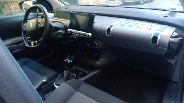 Citroen C4 Cactus view 10