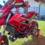 Ducati Hypermotard 939 Rouge - thumbnail 2