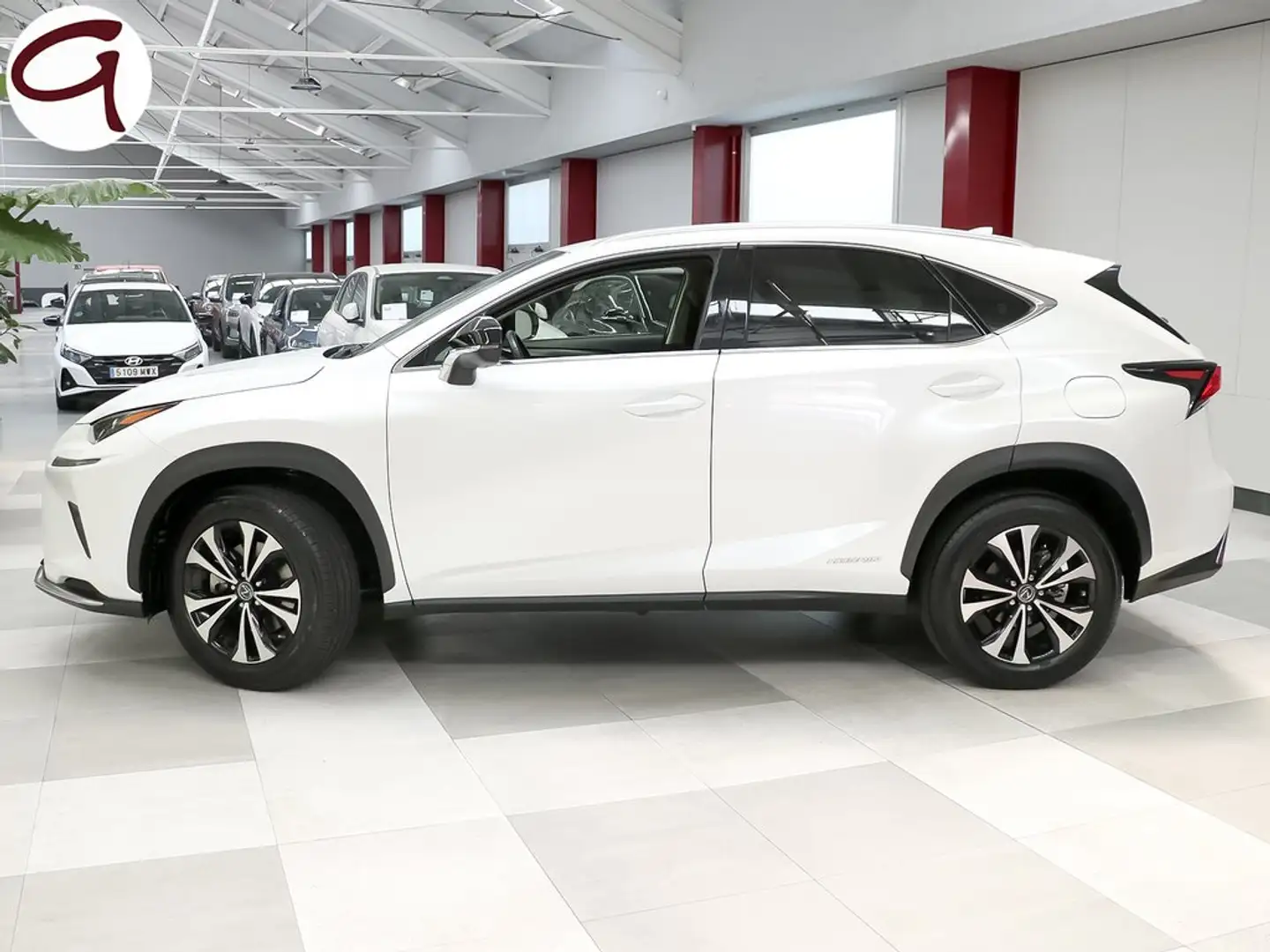 Lexus NX 300 300h Premium 2WD Blanco - 2