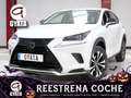 Lexus NX 300 300h Premium 2WD Blanco - thumbnail 1