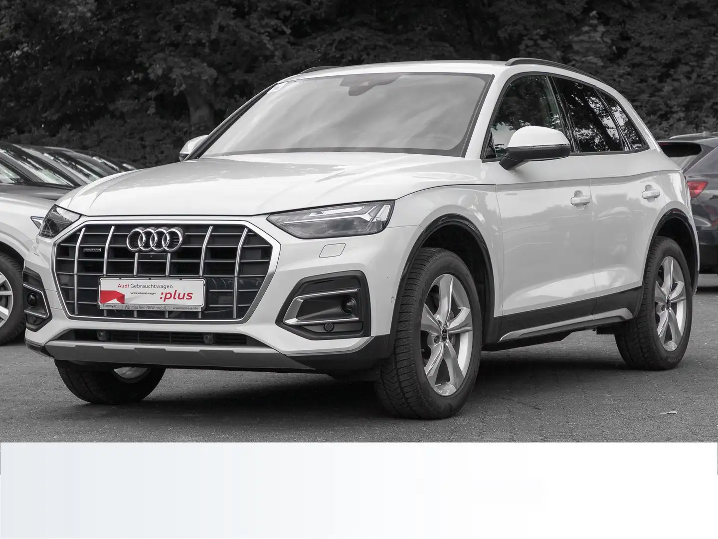 Audi Q5 40 TFSI Q MATRIX AHK LM19 KAMERA eSITZE Weiß - 2