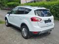 Ford Kuga Titanium Weiß - thumbnail 6