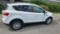 Ford Kuga Titanium Weiß - thumbnail 4