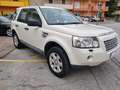 Land Rover Freelander Freelander 2.2 td4 S Bianco - thumbnail 3