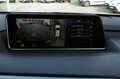 Lexus RX 450h Nero - thumbnail 23
