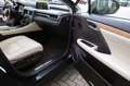 Lexus RX 450h Nero - thumbnail 19