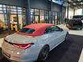 Mercedes-Benz CLE 220 CLE 220 d Cabrio alpingrau rotes Verdeck Head-up Grau - thumbnail 5