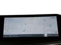 Kia Sorento SORENTO 2.2 CRDI AWD DCT8 PLATINUM MJ25 LEDER NAPP Black - thumbnail 10