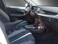 Opel Frontera 1.2 DI MHEV Ultimate Aut. Weiß - thumbnail 16