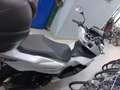 Honda PCX 125 Bianco - thumbnail 2