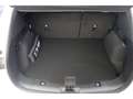 Ford Kuga 1.5 EcoBoost EU6d-T Titanium X AHK Navi Leder Soun Wit - thumbnail 4